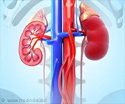 kidney disease prevention in navi mumbai india