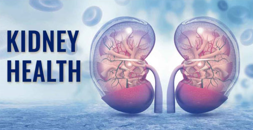 Kidney Disease Prevention in Navi Mumbai, India