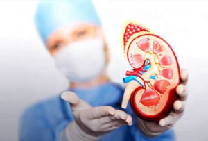 kidney disease prevention in navi mumbai india