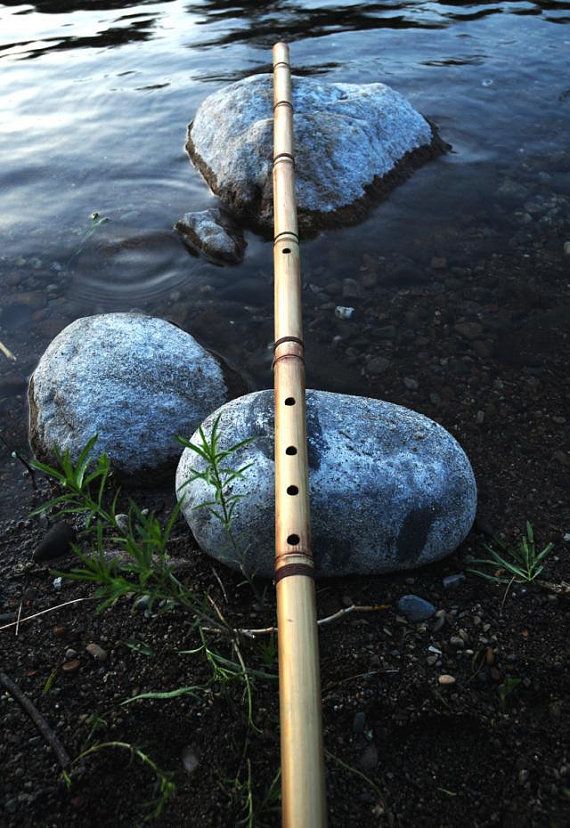 Music therapy in new zealand